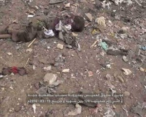 1480_566499216848754_5410001888539659443_n