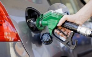 1662326389517af7e715c9e13a9603d8a235fc9653-590x367