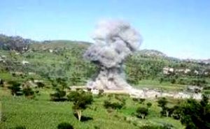 القطاع-الزراعي (1)