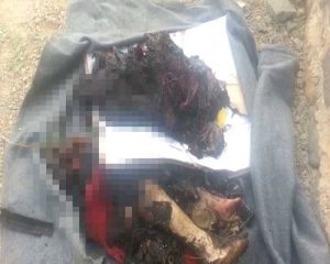 جريمة المخااااااا