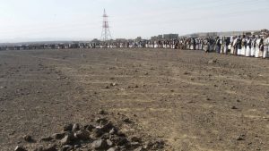 13461244_312984722366672_875040941_o