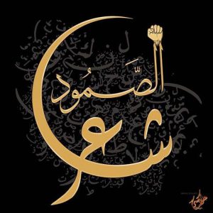 شاعر-الصمود