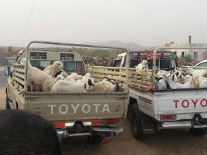 13649700_323510227980788_1765696956_n