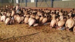 13690638_158102151266184_8467791774510401296_n