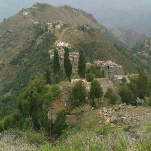 13709987_208291826238891_5274093484196187952_n