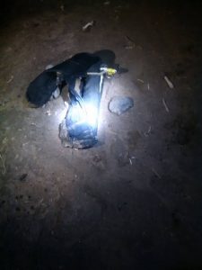 13823239_160231397719926_683170082_n