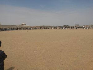 13883773_1195237373840034_1675574806_n