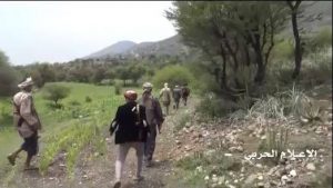 13895450_1561317860841918_757378759622750471_n