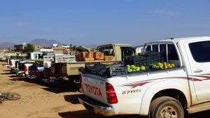 13918753_335453106786500_862813329_o