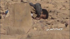 14064061_1566902296950141_9181661788636103149_n