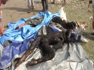 14137832_1567560633550974_2047202752_n