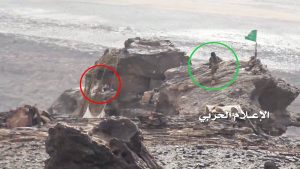 14138134_870831716383332_7734819254441475026_o