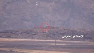 received_1564433297197041