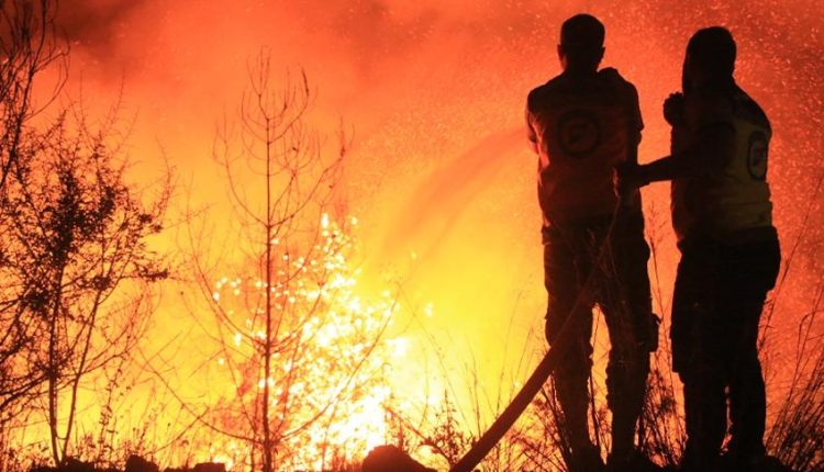 الحرائق تلتهم أحراج اللاذقية وسط صعوبات في الإخماد